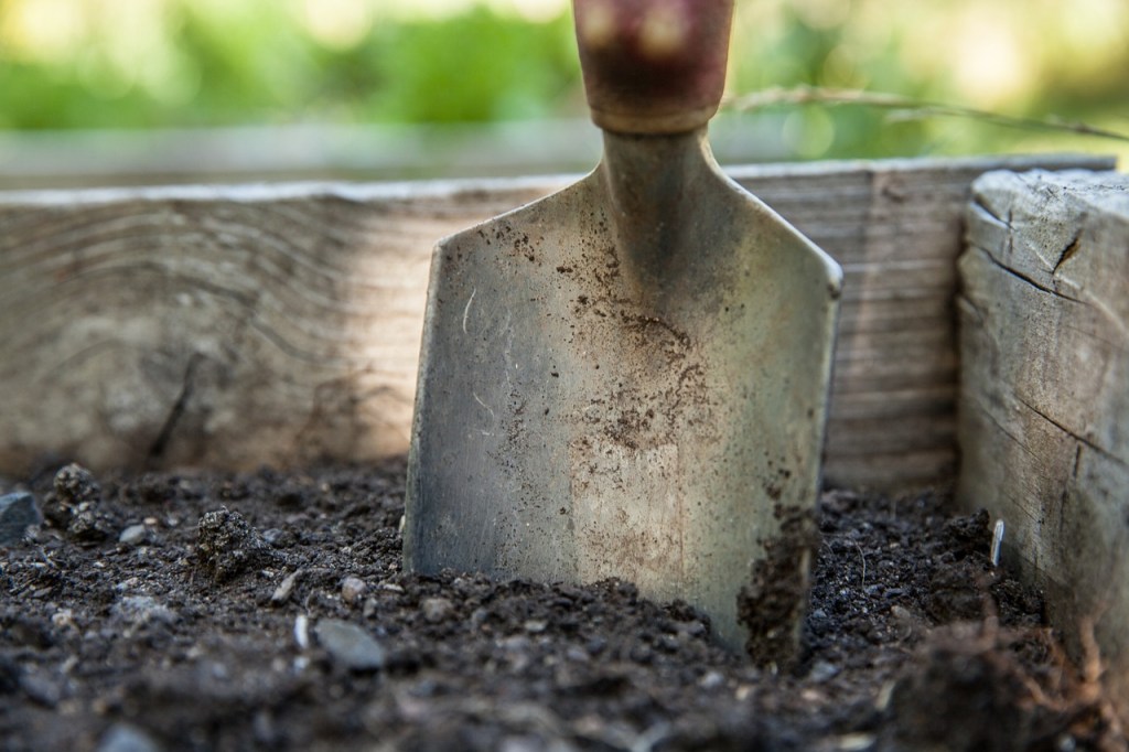 Fill ‘Er Up: The Joyful Journey of Filling Your Raised Bed&nbsp;Garden