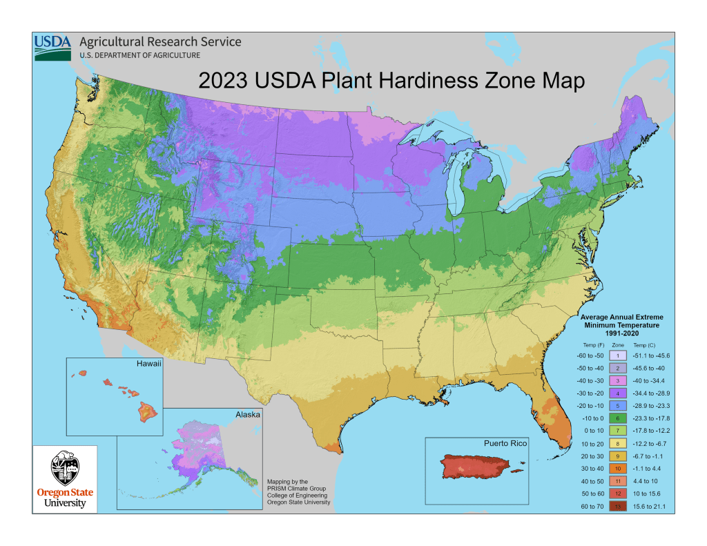Zone In to Zoom Out: Unraveling the Mystery of USDA Planting&nbsp;Zones